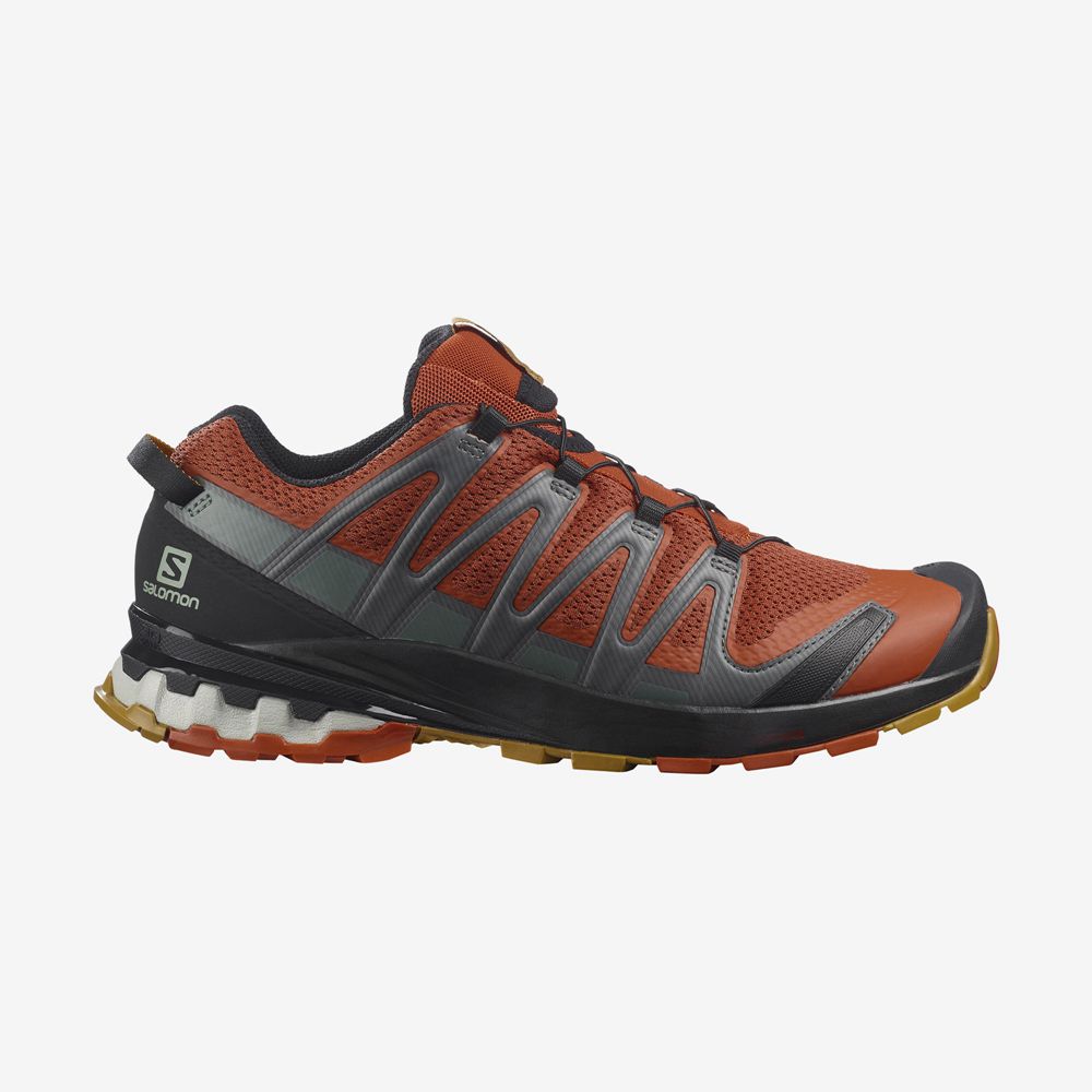 Zapatillas Trail Running Salomon Hombre Naranjas - Salomon Argentina XA PRO 3D V8 ,910647-MZE